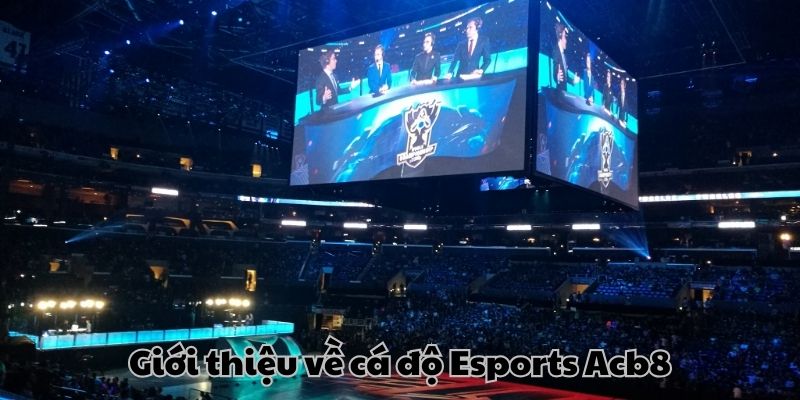Khám phá chi tiết về sảnh cá cược Esports ACB8
