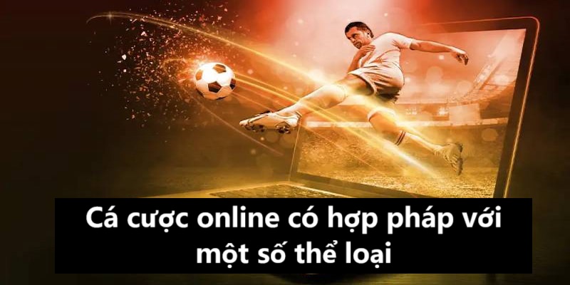 Một số thể loại cá cược online có hợp pháp người chơi cần nắm