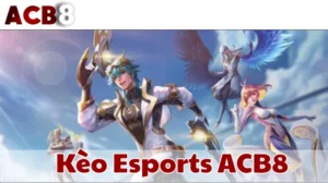 kèo esports ACB8