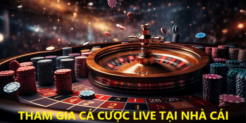 Tham gia cá cược live, bắt kịp xu hướng 2025