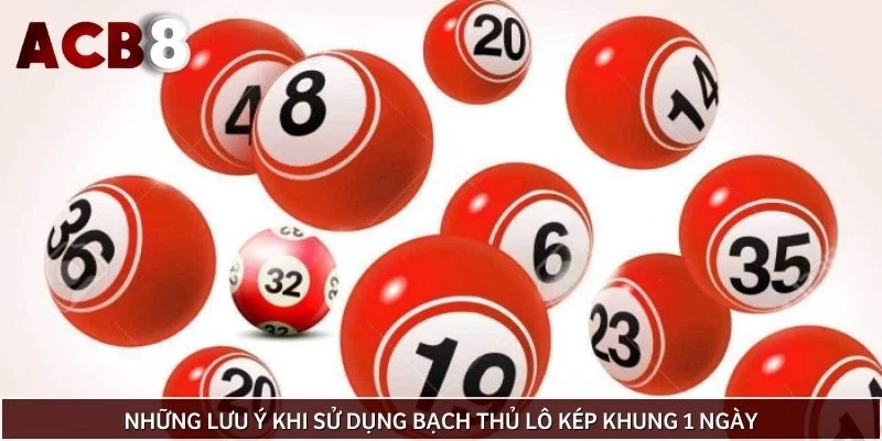 Những lưu ý khi sử dụng bạch thủ lô kép khung 1 ngày