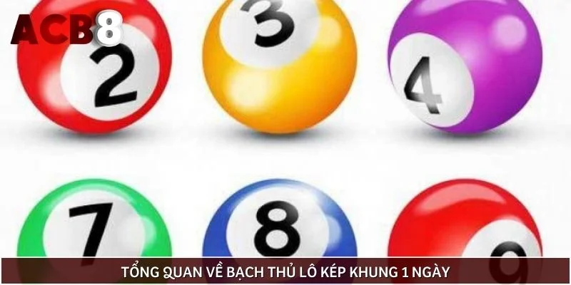 Tổng quan về bạch thủ lô kép khung 1 ngày