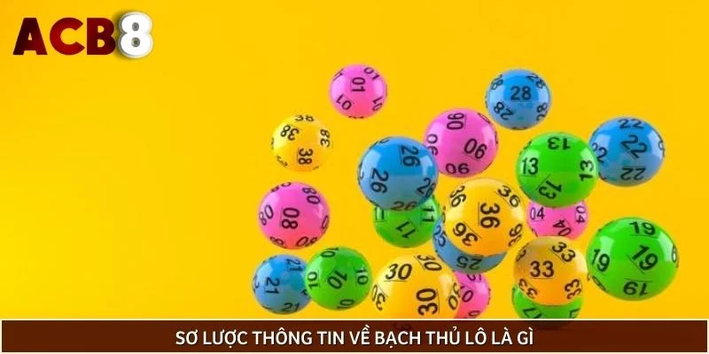 Sơ lược thông tin về bạch thủ lô là gì
