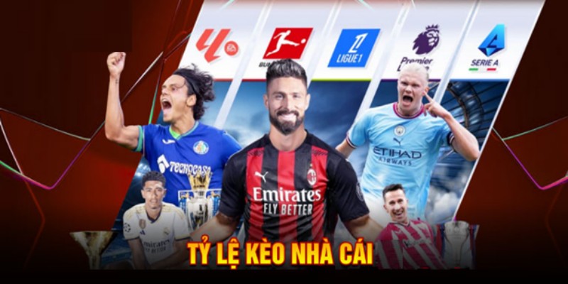 Bet thủ ACB8 nắm rõ tỷ lệ kèo để mang về chiến thắng cho bản thân