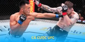 cá cược UFC ACB8