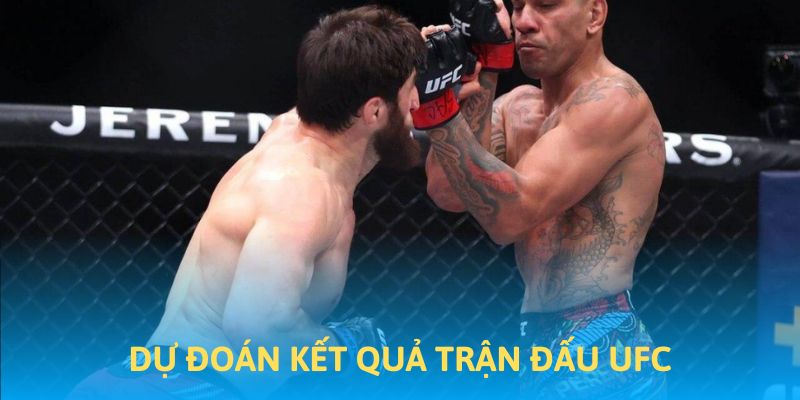 Dự đoán kết quả trận đấu UFC hot nhất năm 2025