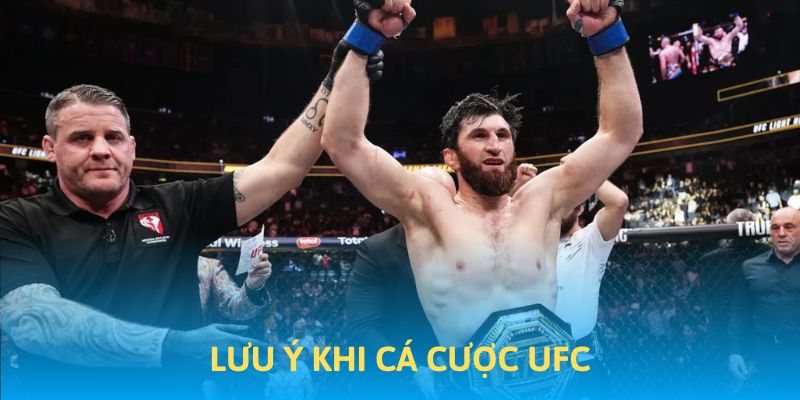 Những lưu ý khi tham gia cá cược UFC tại ACB8