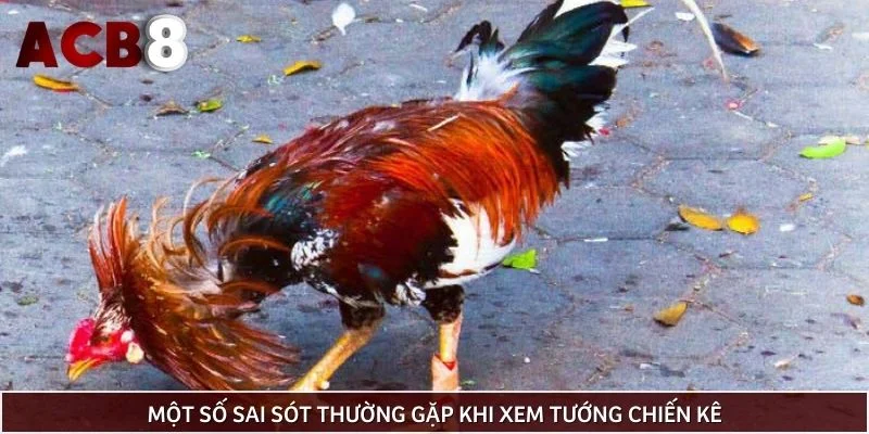 Một số sai sót thường gặp khi xem tướng chiến kê