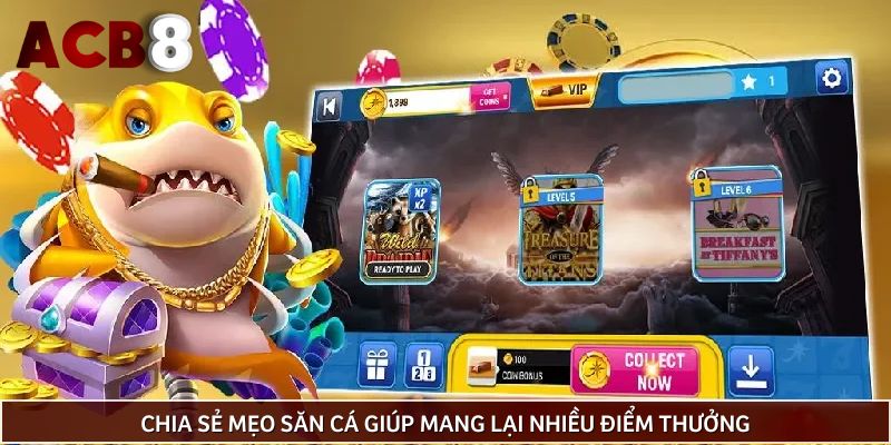 Chia sẻ mẹo săn cá giúp mang lại nhiều điểm thưởng