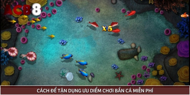 Tận dụng việc chơi bắn cá miễn phí để săn thưởng khủng