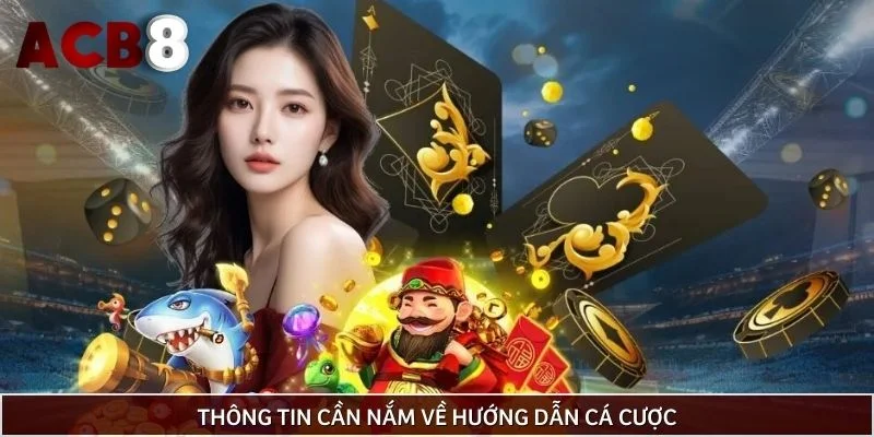 Thông tin cần nắm về hướng dẫn cá cược