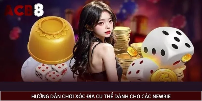 Hướng dẫn chơi xóc đĩa cụ thể dành cho các Newbie
