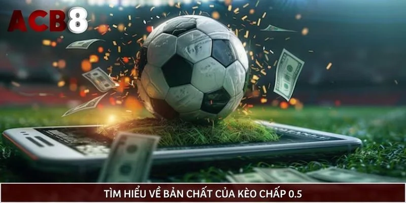 Tìm hiểu về bản chất của kèo chấp 0.5