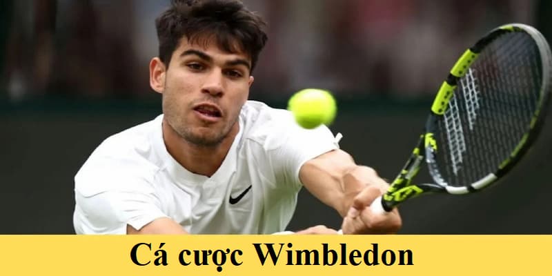 Các thuật ngữ cơ bản trong tennis mà hội viên cần nắm để cá cược được hiệu quả