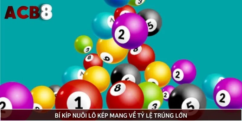 Bí kíp nuôi lô kép mang về tỷ lệ trúng lớn