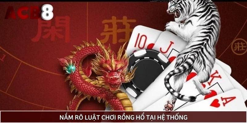 Nắm rõ luật chơi rồng hổ tại hệ thống