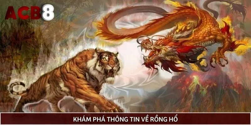 Khám phá thông tin về rồng hổ