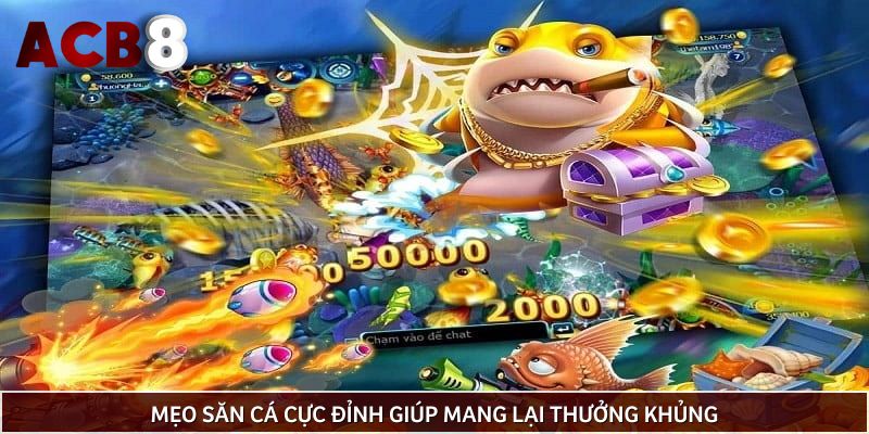Mẹo săn cá cực đỉnh giúp mang lại thưởng khủng
