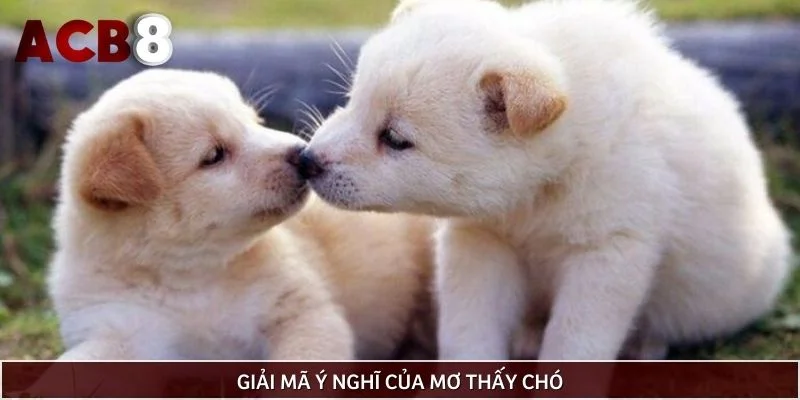 Giải mã ý nghĩ của mơ thấy chó