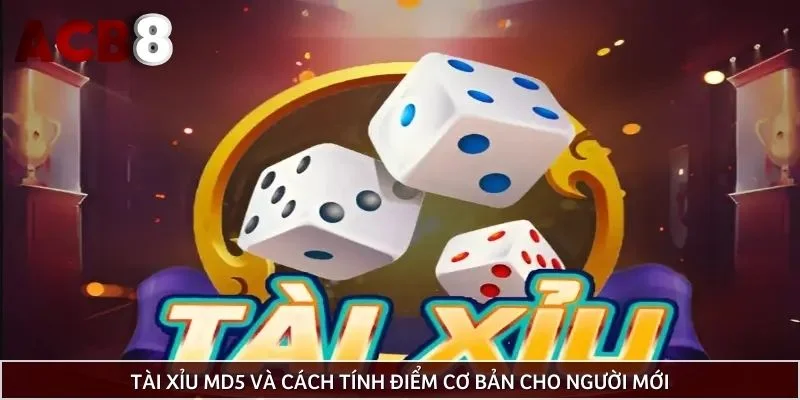 Tài xỉu md5 và cách tính điểm cơ bản cho người mới