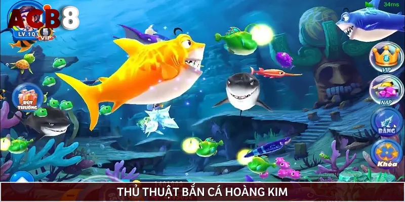 Chiến thuật săn cá chuẩn chỉnh