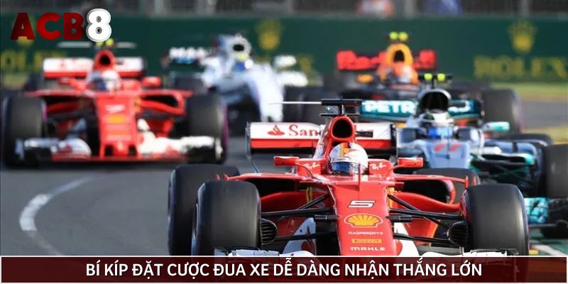 Bí kíp đặt cược đua xe dễ dàng nhận thắng lớn