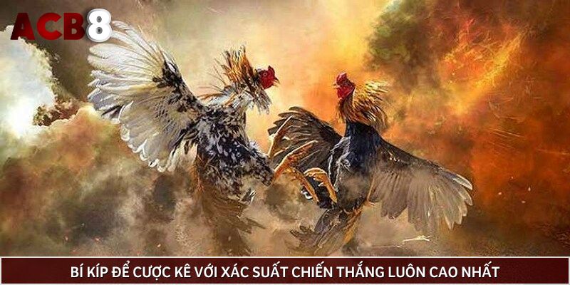Bí kíp để cược kê với xác suất chiến thắng luôn cao nhất
