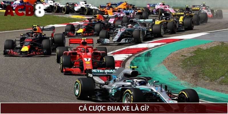 Cá cược đua xe là gì?