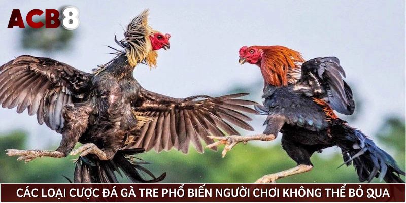 Các loại cược đá gà tre phổ biến người chơi không thể bỏ qua