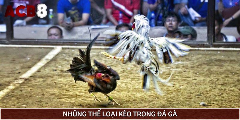 3 thể loại kèo cược trong đá gà ăn tiền