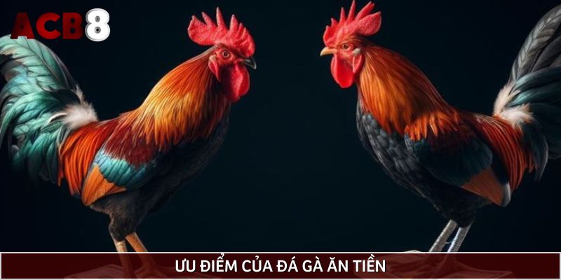 Lý do nên tham gia đá gà ăn tiền của nhà cái