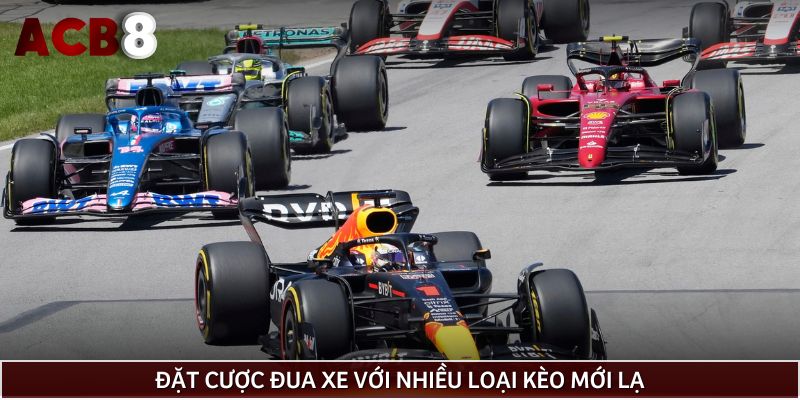 Đặt cược đua xe với nhiều loại kèo mới lạ
