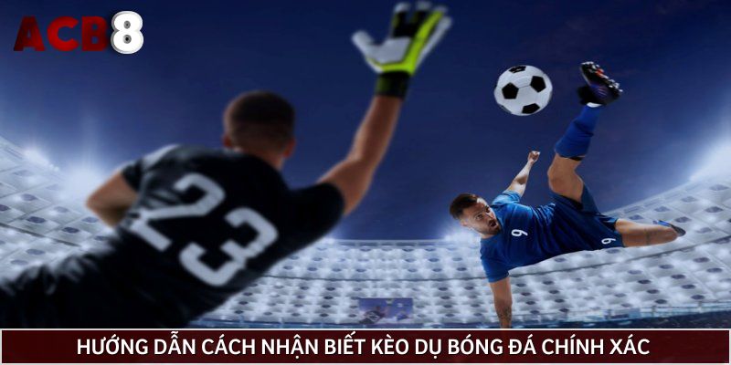 Hướng dẫn cách nhận biết kèo dụ bóng đá chính xác 