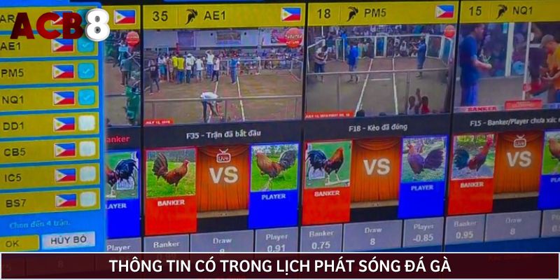 Những thông tin có trong lịch phát sóng đá gà