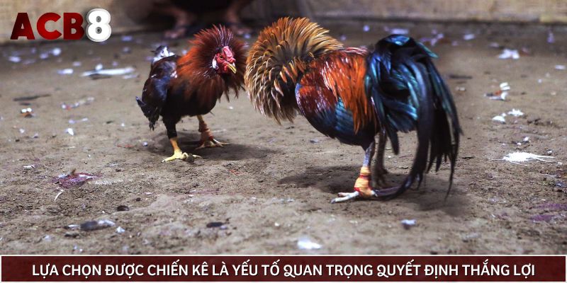 Lựa chọn được chiến kê là yếu tố quan trọng quyết định thắng lợi