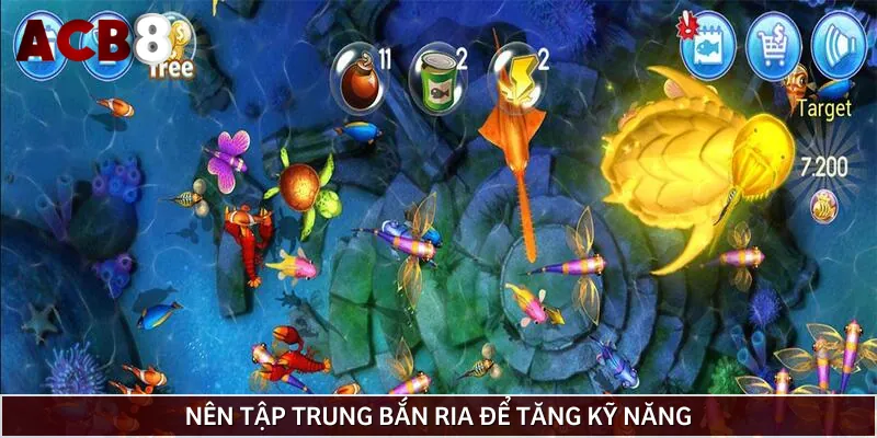 Bắn ria để thu thập nhiều loại cá lớn bé