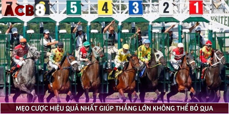 Mẹo cược hiệu quả nhất giúp thắng lớn không thể bỏ qua