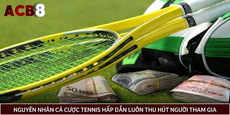 Nguyên nhân cá cược Tennis hấp dẫn luôn thu hút người tham gia