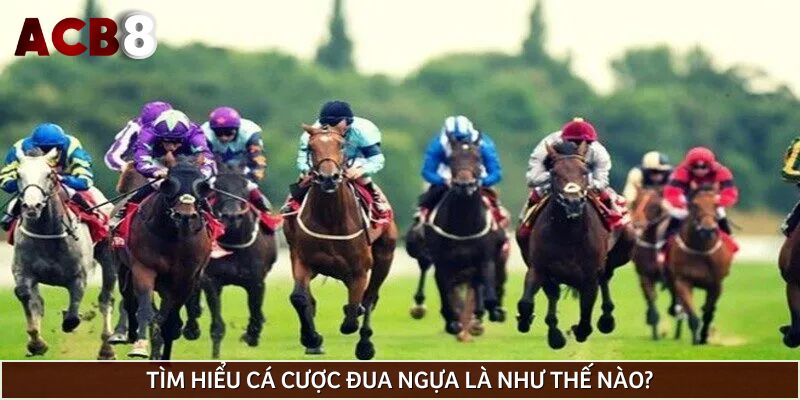 Tìm hiểu cá cược đua ngựa là như thế nào?
