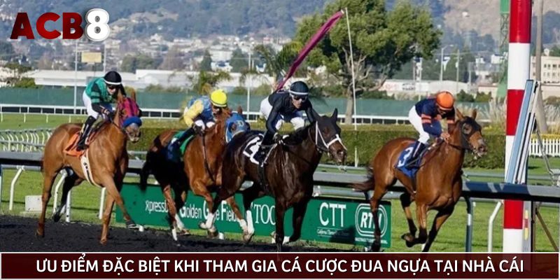 Ưu điểm đặc biệt khi tham gia cá cược đua ngựa tại nhà cái