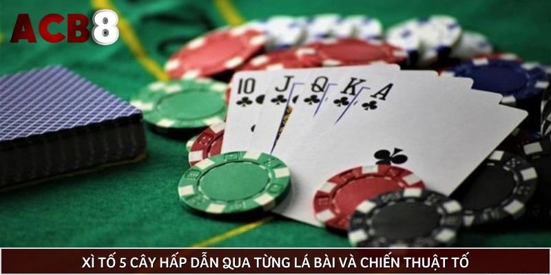 Xì tố 5 cây hấp dẫn qua từng lá bài và chiến thuật tố