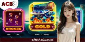 Gợi Ý Cách Săn Bắn Cá Rùa Xanh Hiệu Quả, Dễ Trúng Xu Khủng