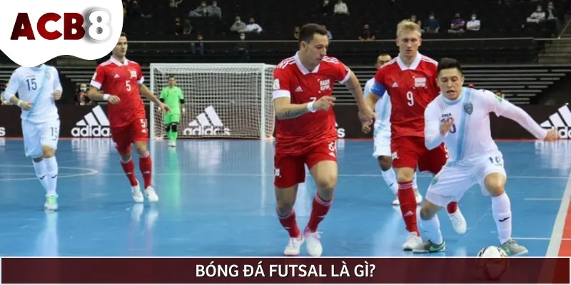 Bóng đá Futsal là bộ môn thi đấu trong nhà với diện tích nhỏ