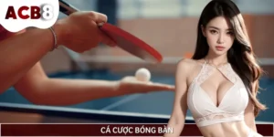 Kinh Nghiệm Cá Cược Bóng Bàn Dễ Thắng Cho Người Mới Bắt Đầu