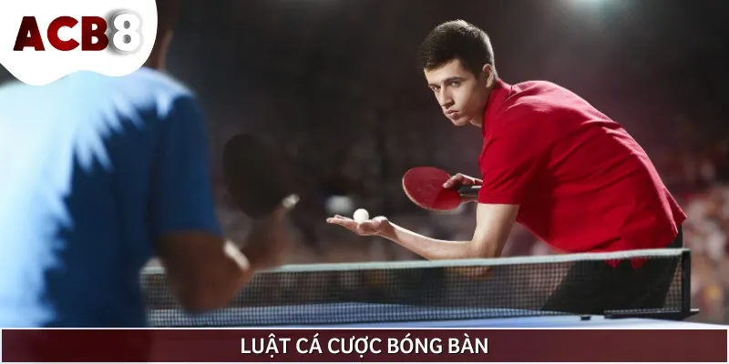 Quy định quan trọng mà ai cũng cần nhớ khi tham gia cá cược trận bóng bàn