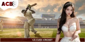 Cách Chơi Và Kinh Nghiệm Cá Cược Cricket Hiệu Quả Nhất