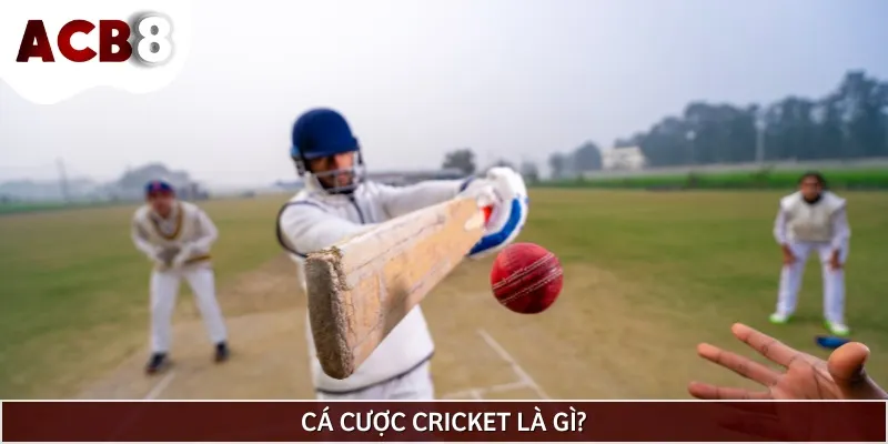 Cá cược Cricket là hình thức đòi hỏi bạn phải dự đoán kết quả cuối cùng
