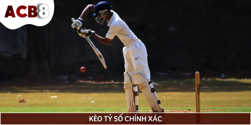 Đối với kèo này, bạn cần dự đoán tổng lượt chạy mà đội sẽ ghi được