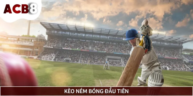 Người chơi sẽ dự đoán kết quả cú ném đầu tiên trong trận Cricket