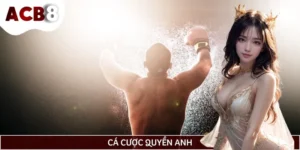 Mẹo Soi Kèo Cá Cược Quyền Anh Giúp Bạn Nâng Cao Tỉ Lệ Thắng